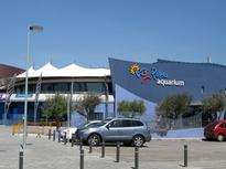 Palma aquarium