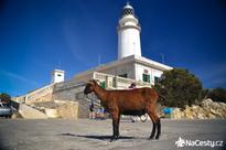 Formentor