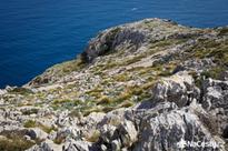 Formentor